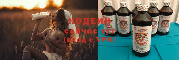 прущие грибы Балахна