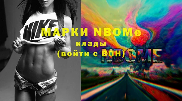 прущие грибы Балахна