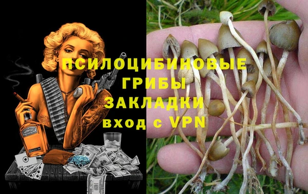 экстази Белокуриха