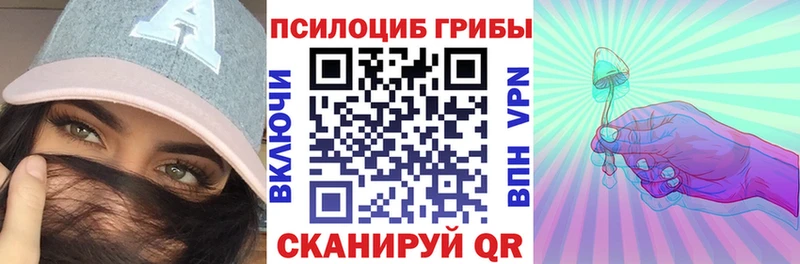 Псилоцибиновые грибы ЛСД  закладка  OMG как зайти  Киселёвск 